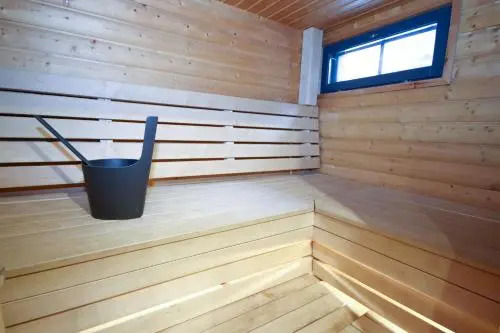 Tunturipöllö 2