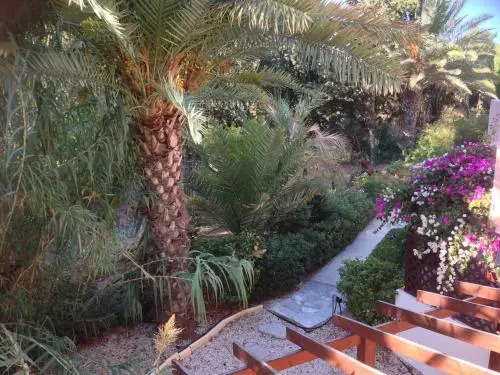 Paradise Villa