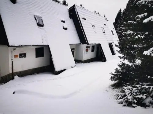 Apartma David Rogla