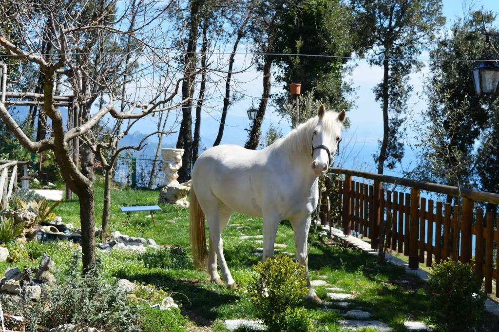Bed&Breakfast Miramare