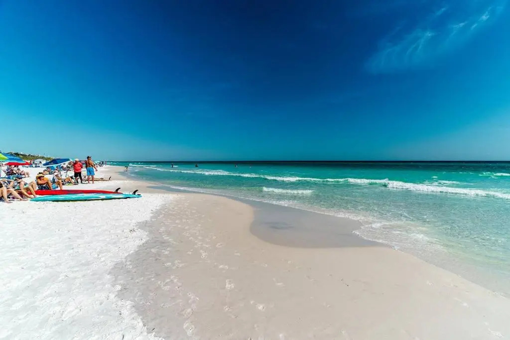 Beach Manor 410
