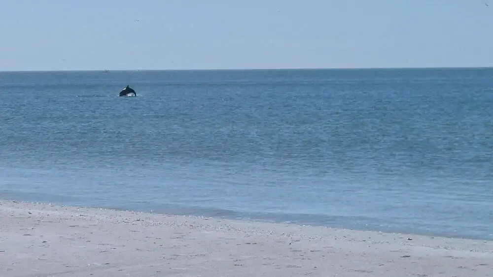 Bay Front Duplex 1br, Fishing Dock - Walk to Beach!