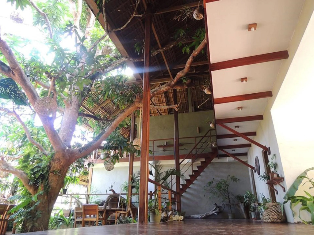 Blue Mango Rooms & Villas