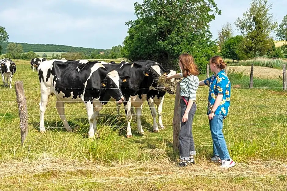 la grange aux hirondelles
