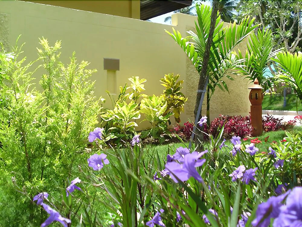 Samui Grove Villas