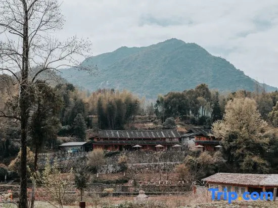 Taishun Yuelong Xisha Boutique Homestay