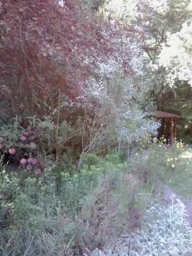 Fairview Manor Bed and Breakfast