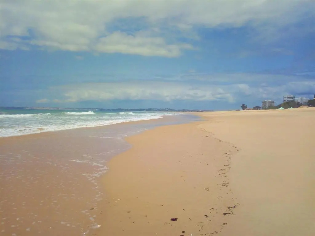 Quinta Nova 103
