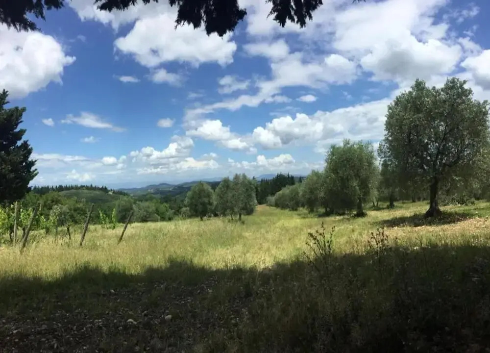 Cosy holiday home in Tuscany with shared swimming pool