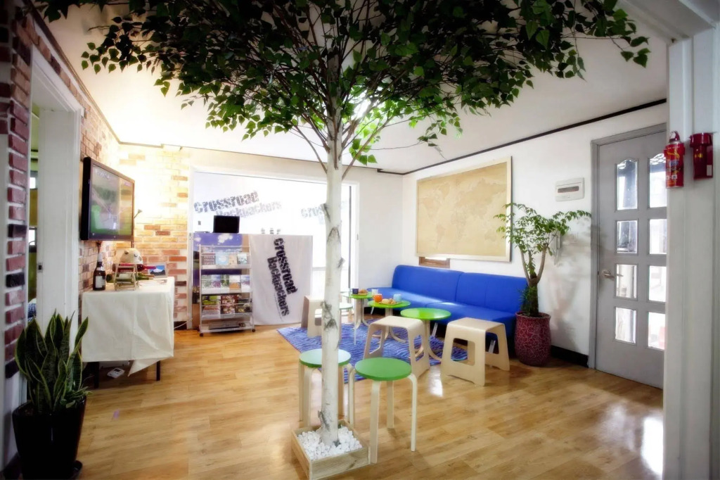 Bunk Backpackers Guesthouse