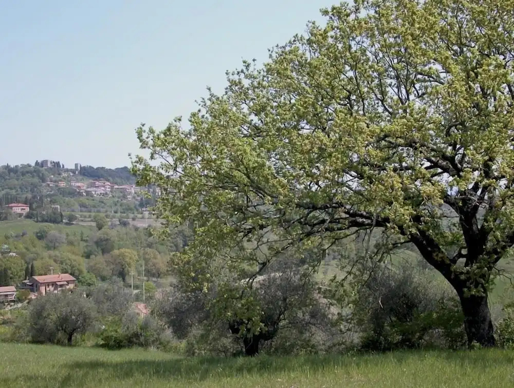 Wild Agriturismo Podere della Bruciata
