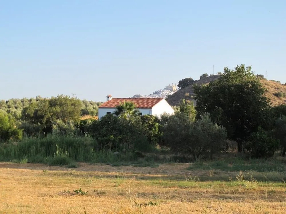 Rural Holiday Home With Pool Near Olvera, Ronda