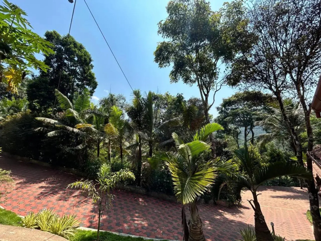Young Island - Coorg