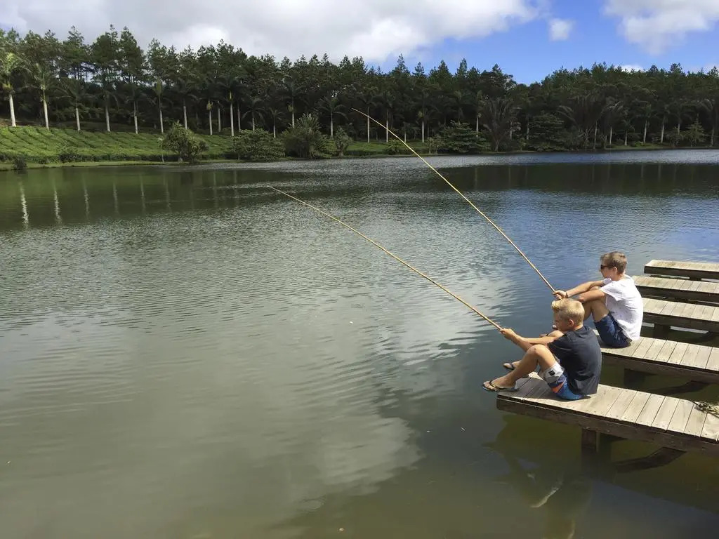 Bubble Lodge Bois Chéri