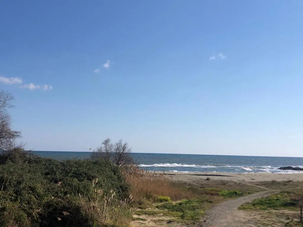 Residence Marina di Bravone - appartement 6 personnes Vue Mer RDC N74