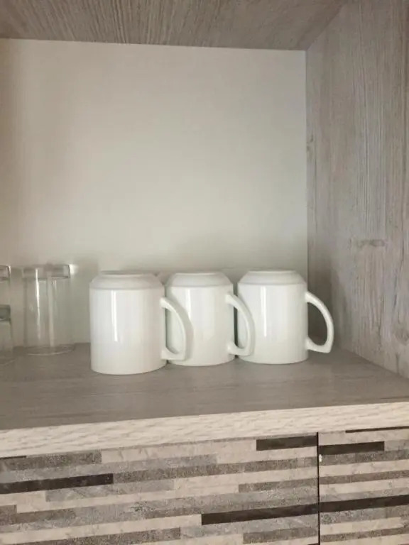 Arshaura Apartment near Kazbegi