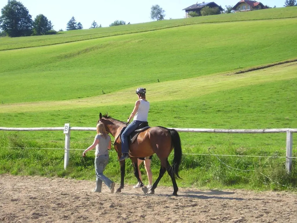 Kinderparadies Bachbauer