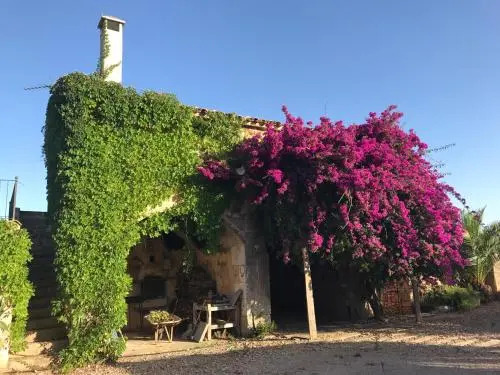 Finca Albenyeta