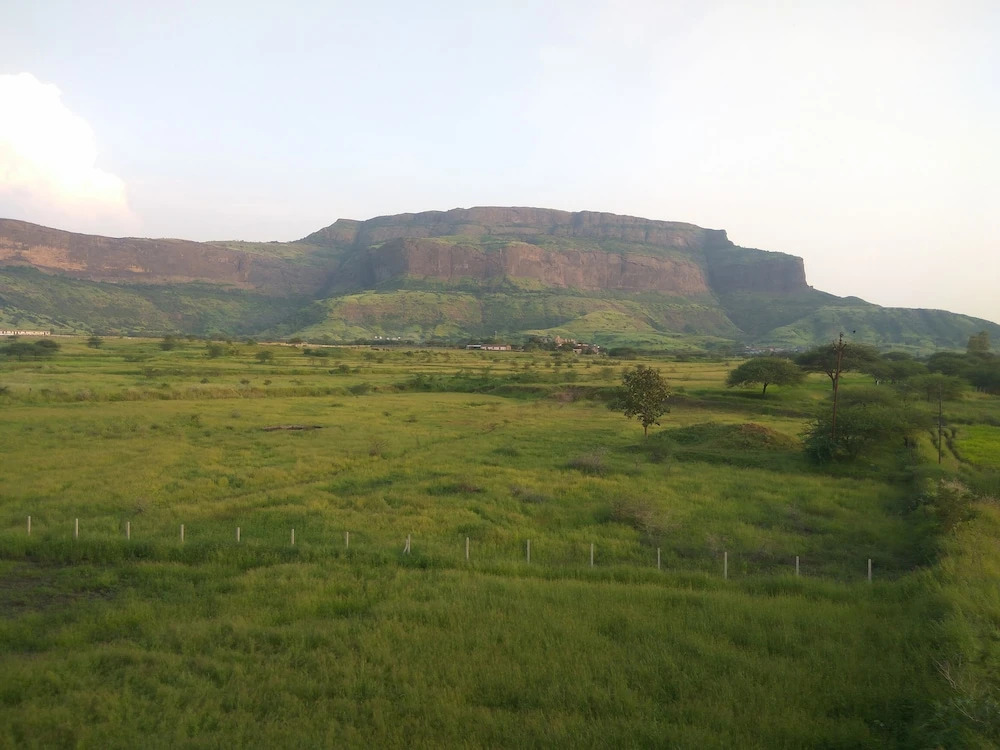 Rajasthani Rajwadi Hotel & Restaurant