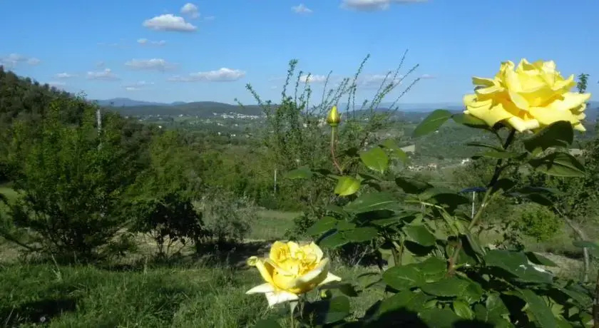 Bed and Breakfast di Montenero