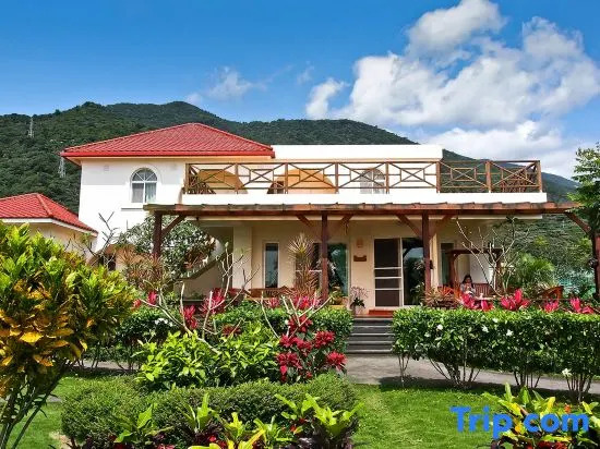 Bali Hostel