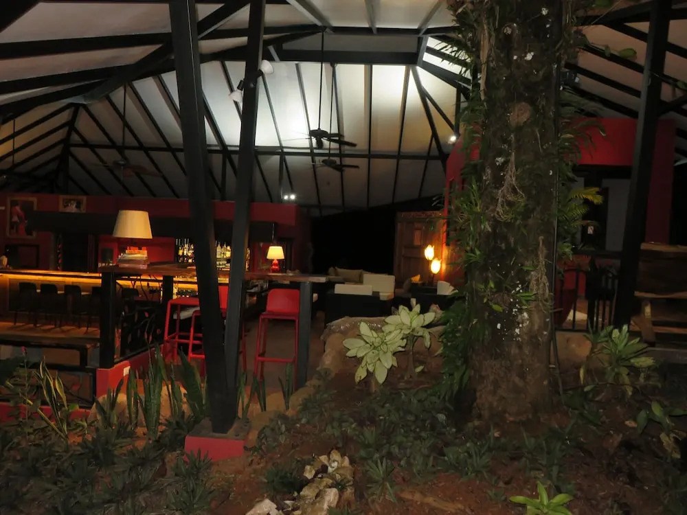 Oasis de las Palmas