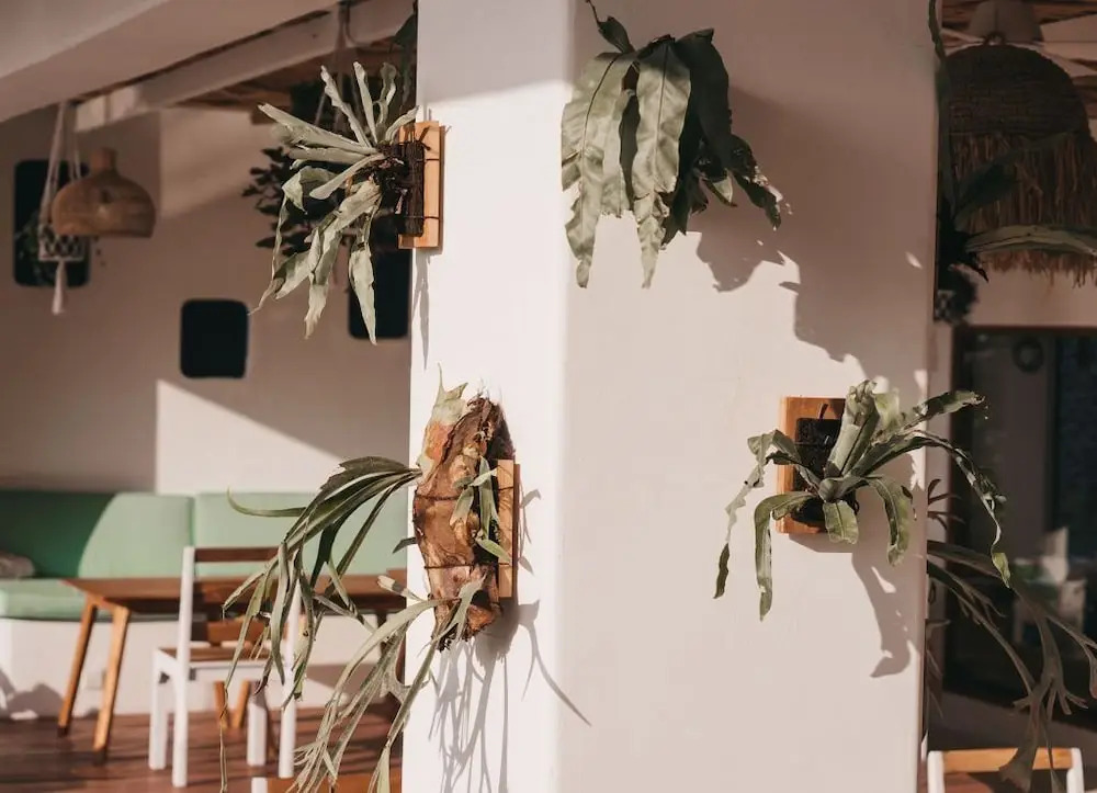 Canggu Village Accommodation
