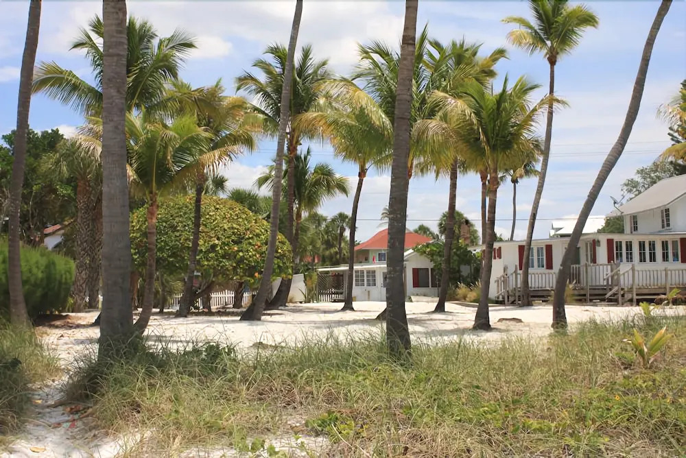 Palm Terrace Resort