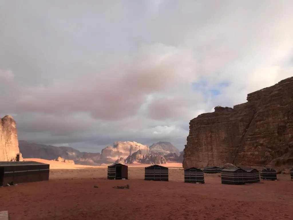 Momoo's Camp