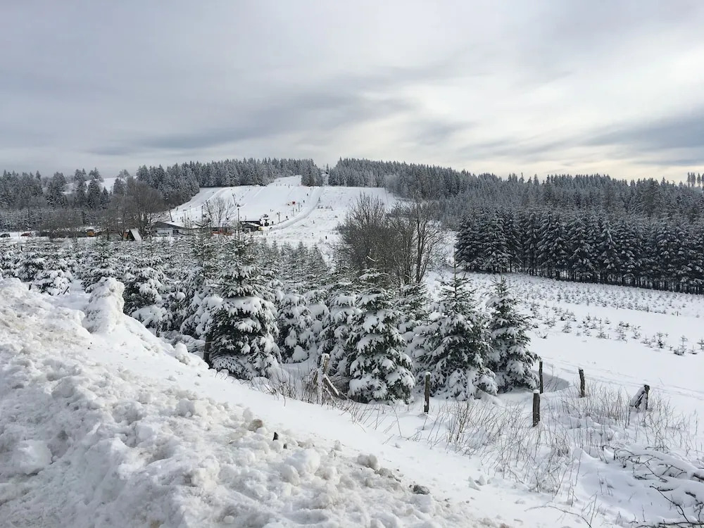 Auf dem Berg