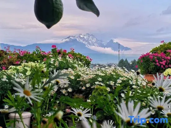 Lijiang The Rooftop Bistro&Bar• English Corner Snow Mountain view Hostel