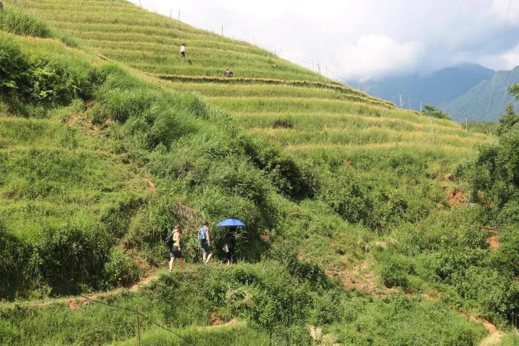 SaPa Farmer House