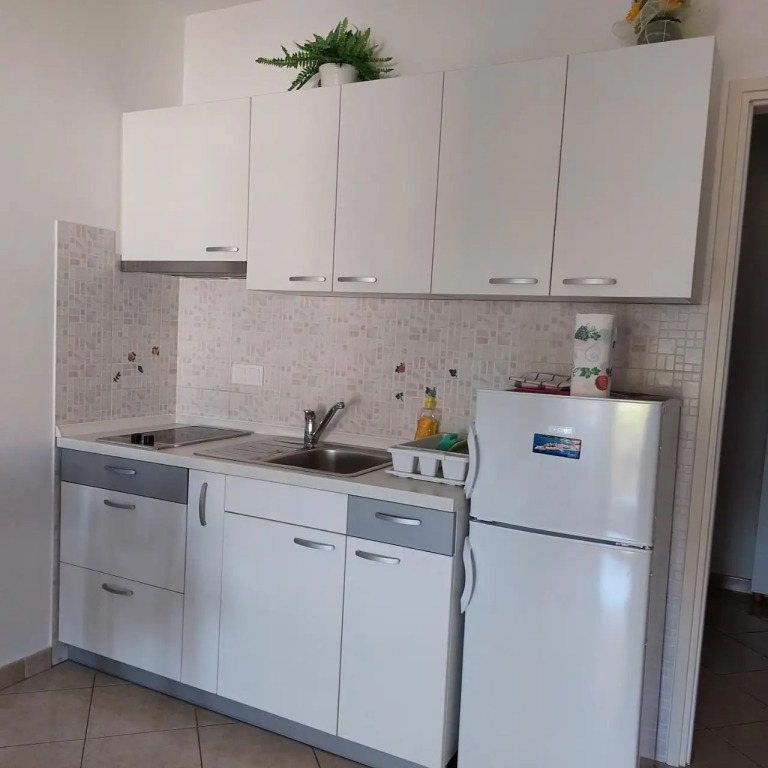 Apartment Ivana