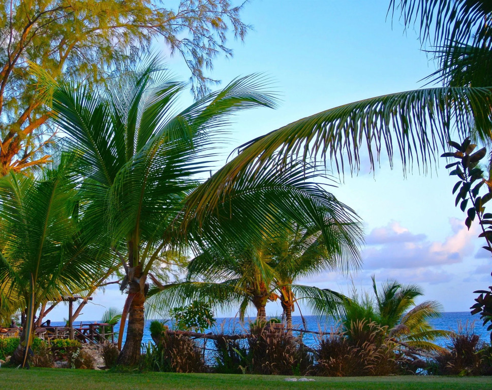 Surfers Bay Resort