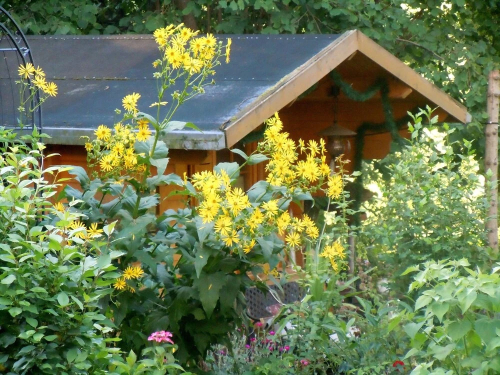 Wohnung Nr.2