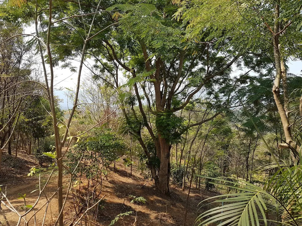 Plantation View Camping