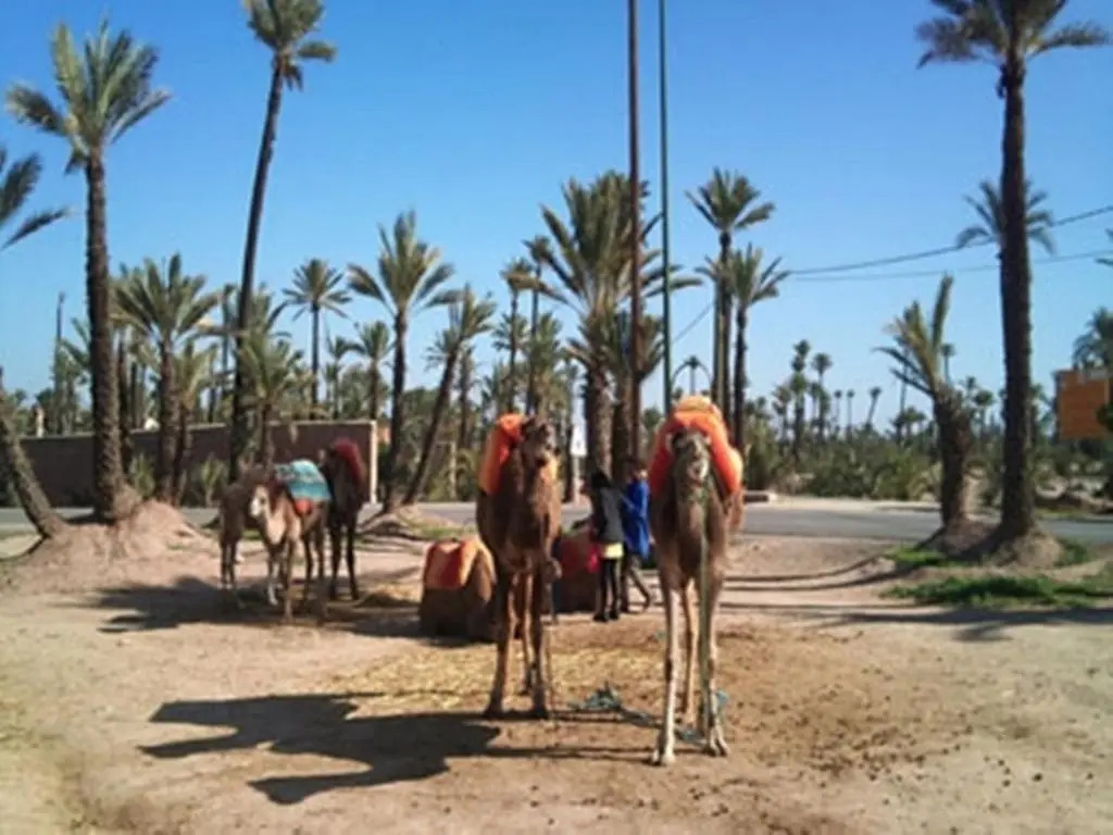 Riad Tahar Oasis