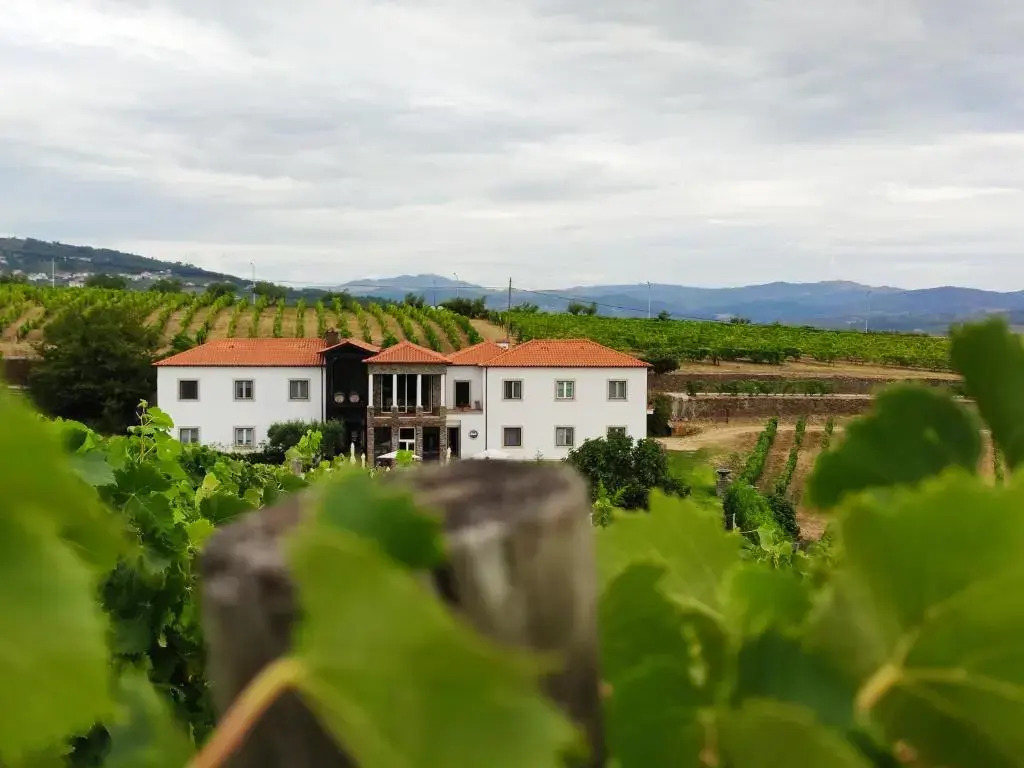 The Manor House Celeirós