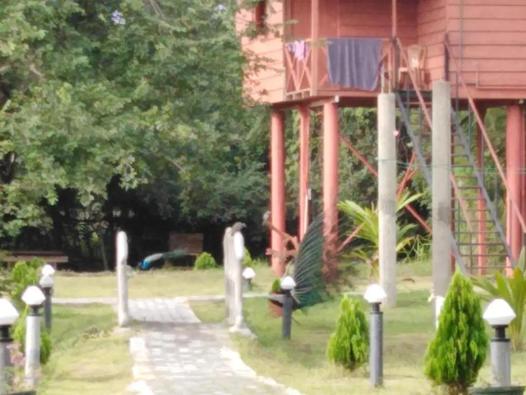 Sigiri Royal Point Tree House