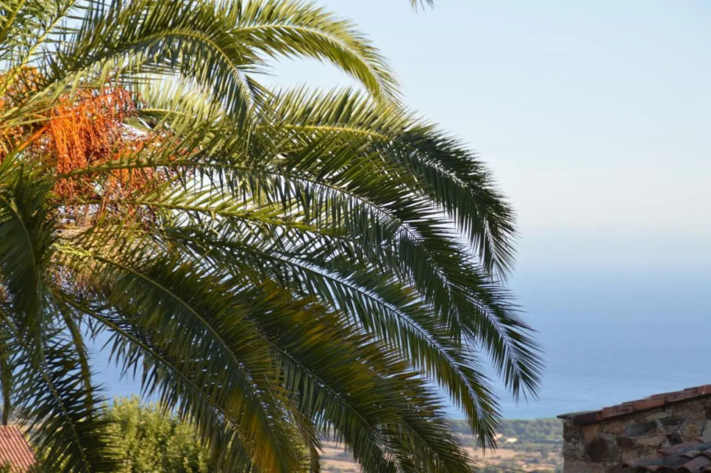 maison corse en balagne