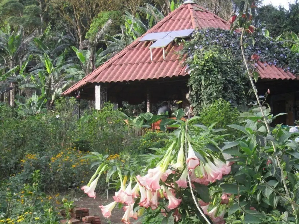 Finca Neblina del Bosque