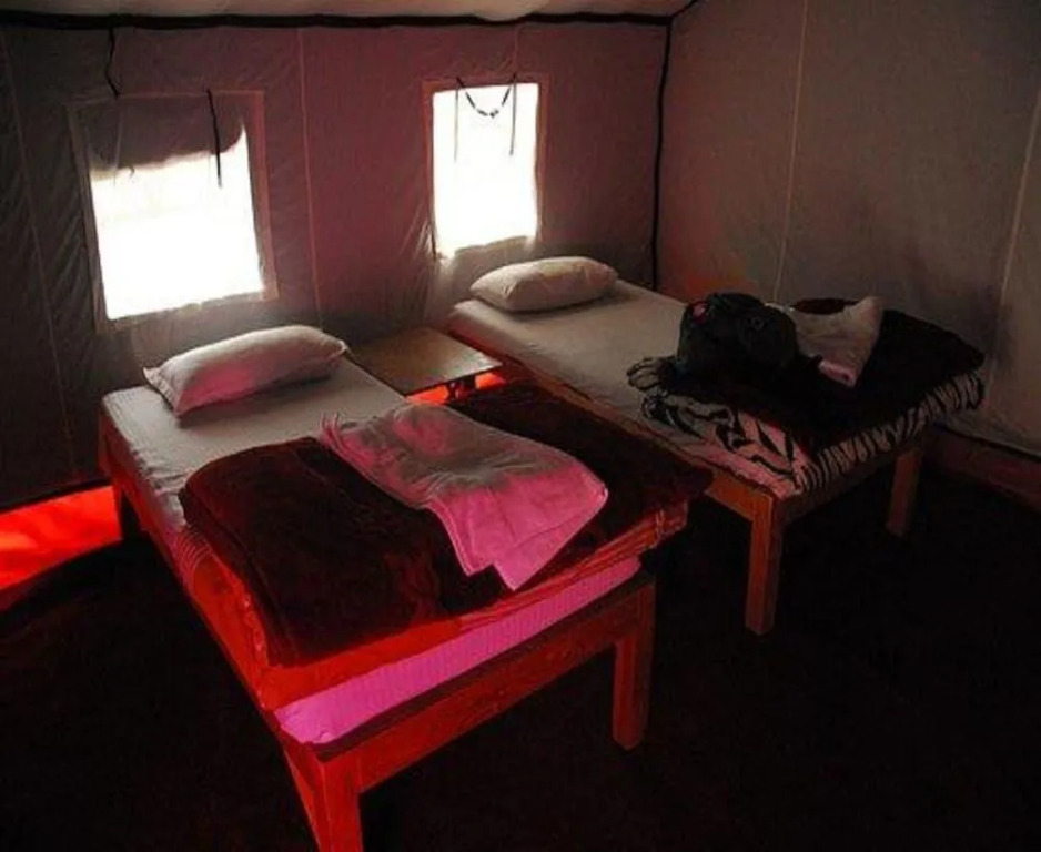 Golden Mark Camp