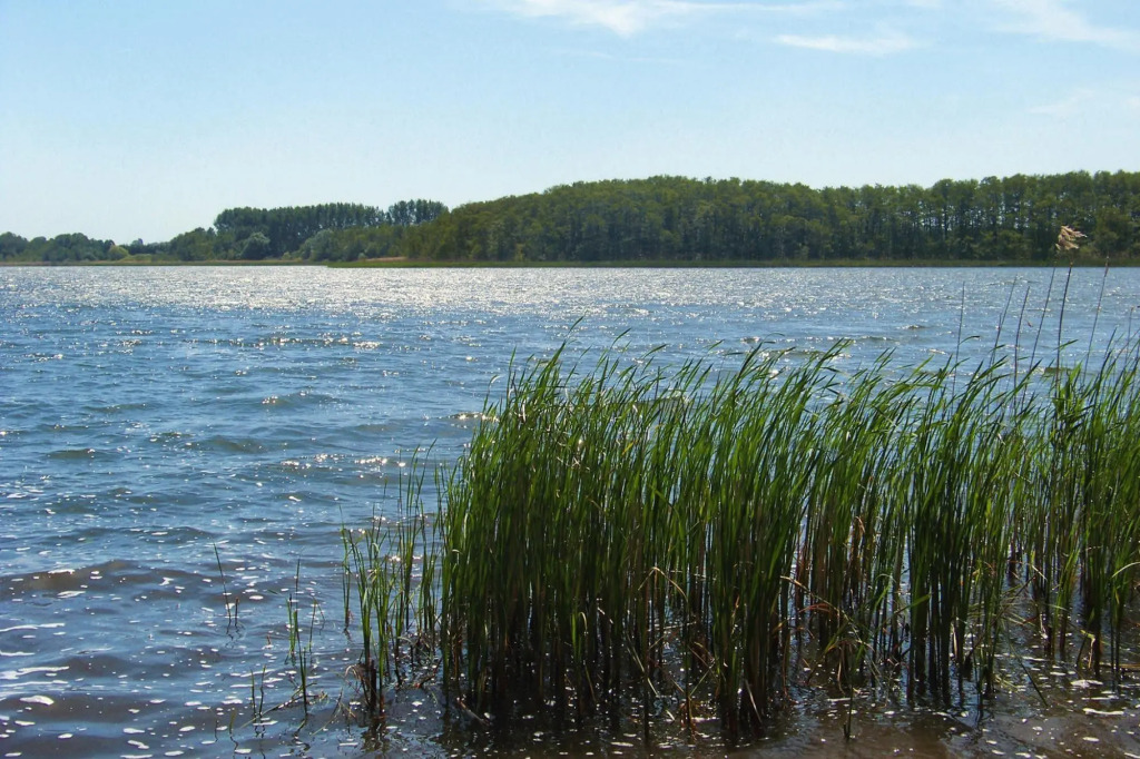 Doppelhaushälfte, Plau am See