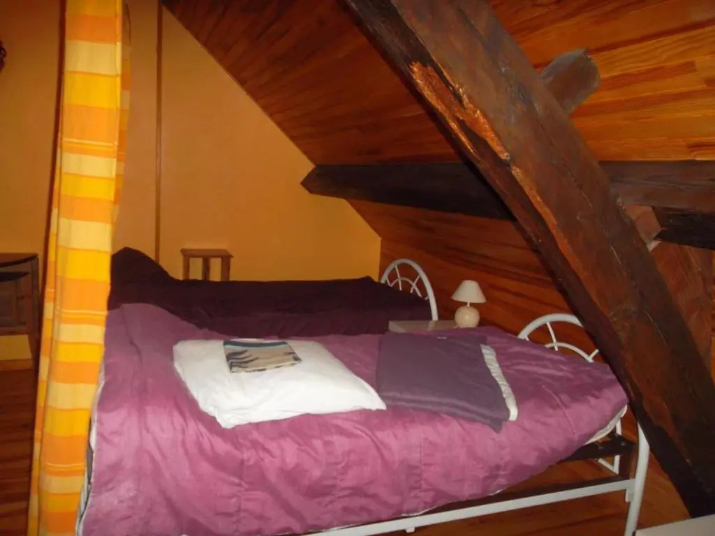 Grand gîte à Barrais-Bussolles avec cheminée et animaux acceptés - FR-1-489-21