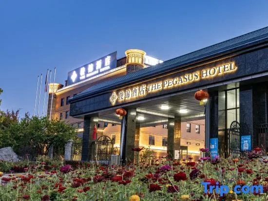 Yining Yujin Hotel