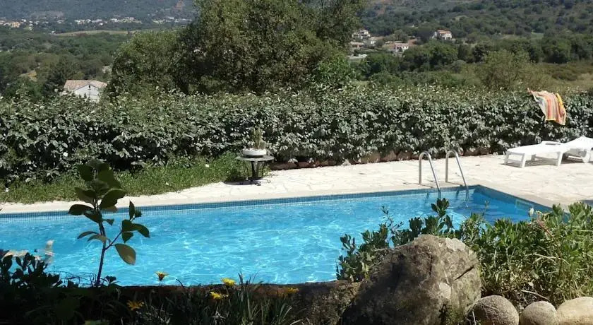 La Salamandre