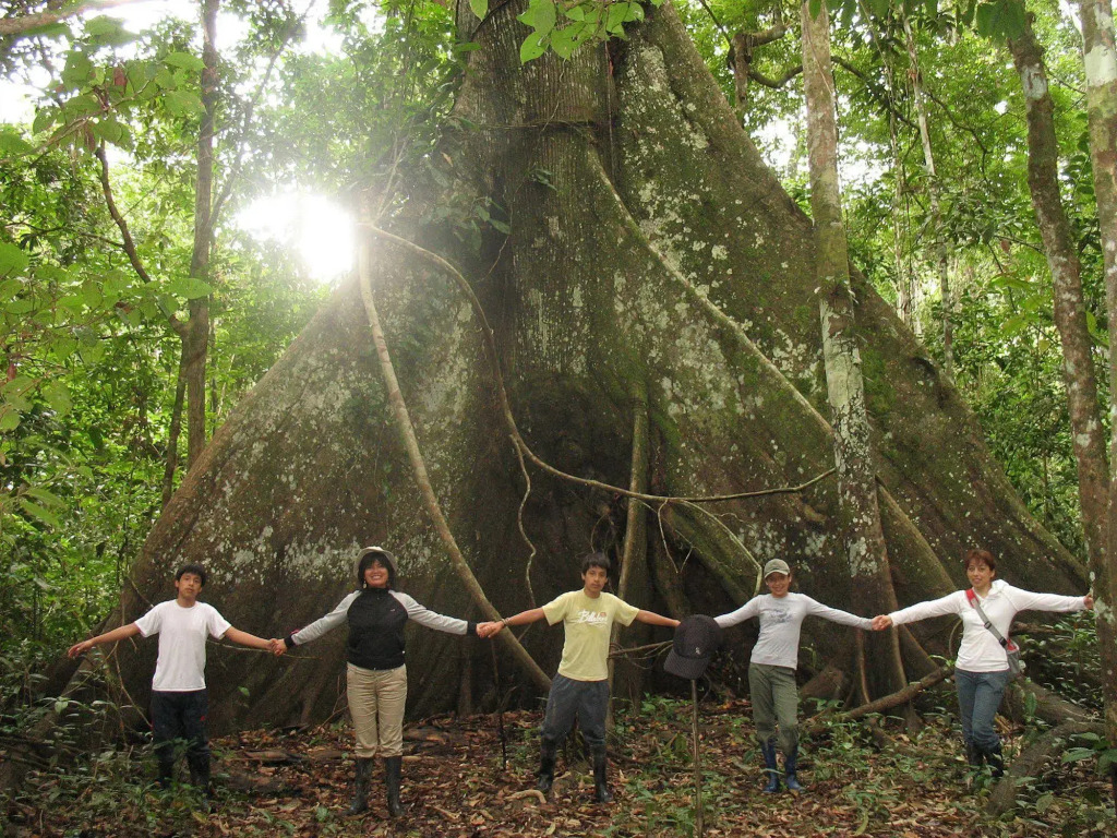 Amazonas Sinchicuy Lodge