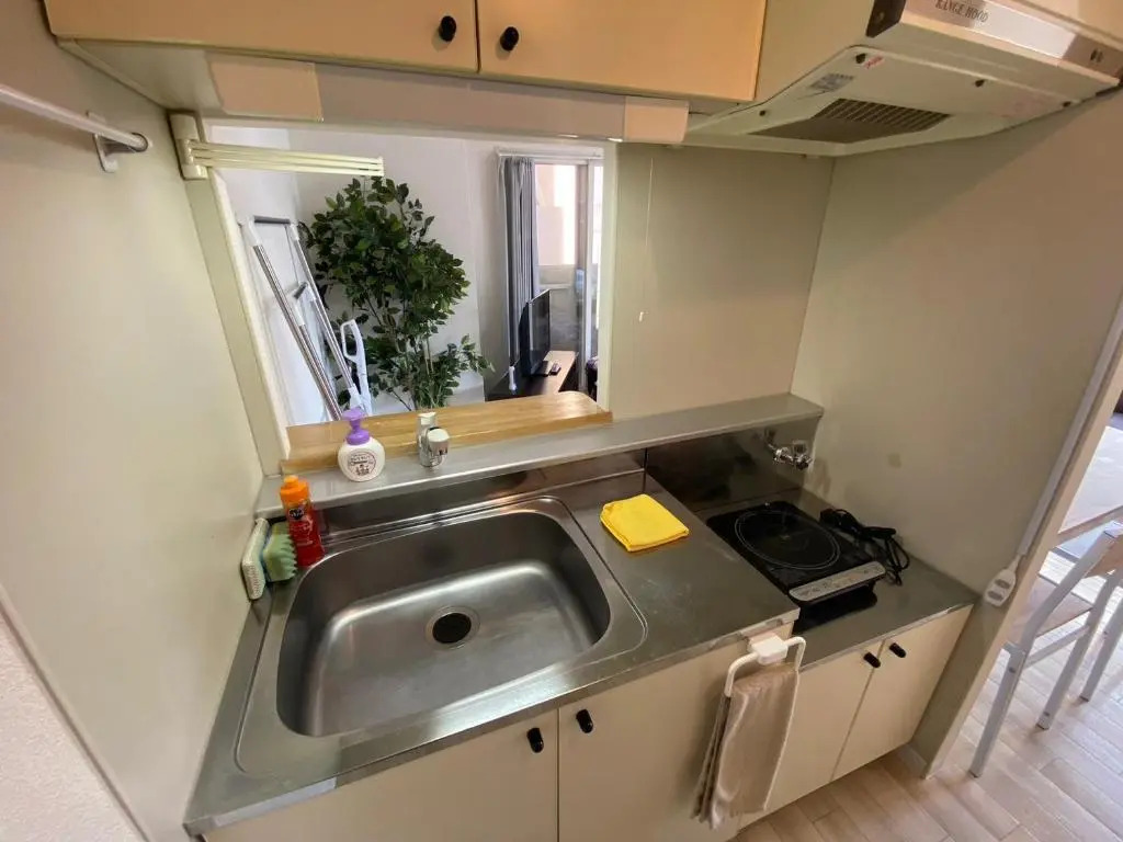 Downtown area Spacious cozy room Susukino IK601