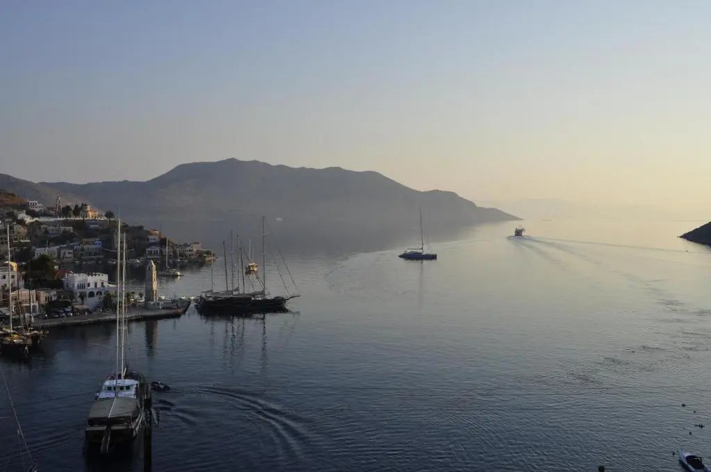 Palm Tree Studio Symi