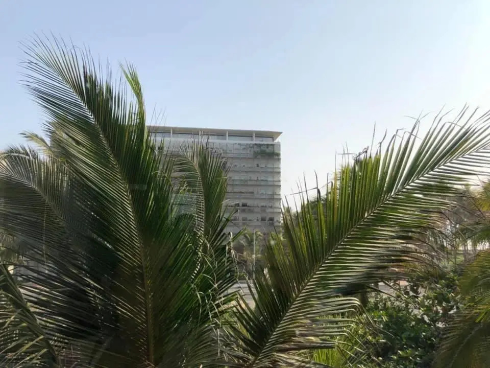 ACAPULCO aura009